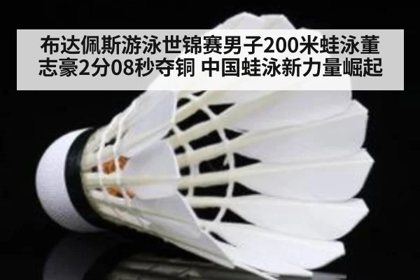 布达佩斯游泳世锦赛男子200米蛙泳董志豪2分08秒夺铜 中国蛙泳新力量崛起